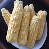 Sweet Corn (PG Rated)