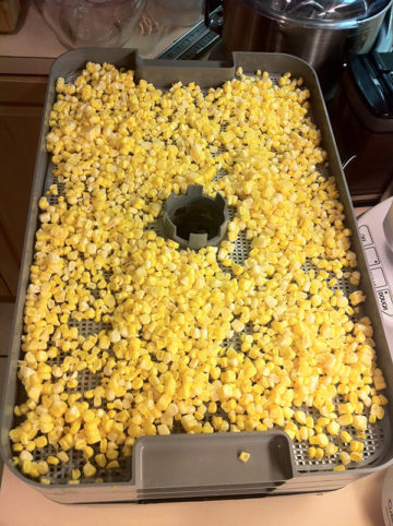 Corn Celebration