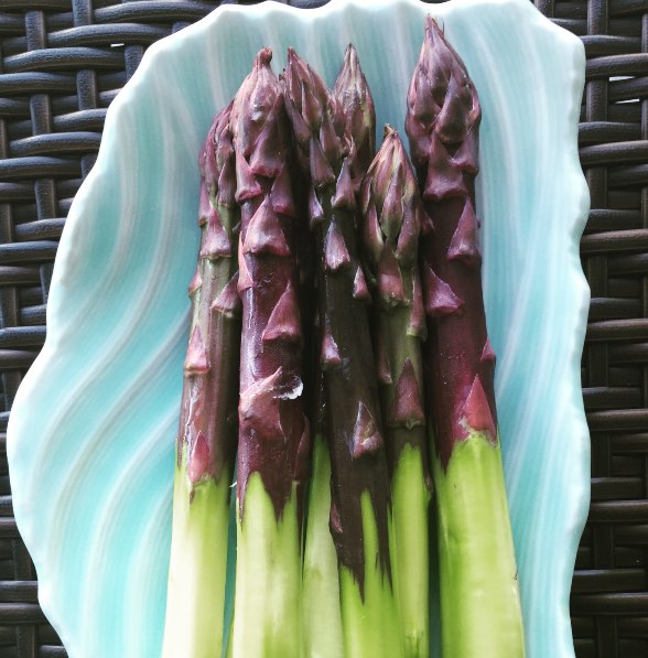 A Word On Food Asparagus Norman Van Aken